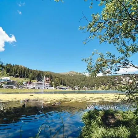 Padrun 10-weisshornbahn-zentrum Arosa-top Lage *